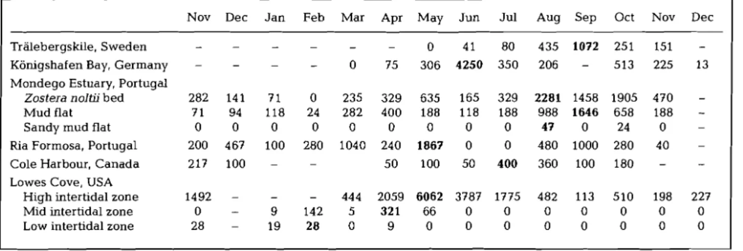 Table 2. Abundances of  hydrobiid snails carrying Enteromorpha spp. germlings during the investigation  period from November  1995 to December  1996; at each study site 4 to 6 replicate samples were taken each month; bold = highest abundance observed 