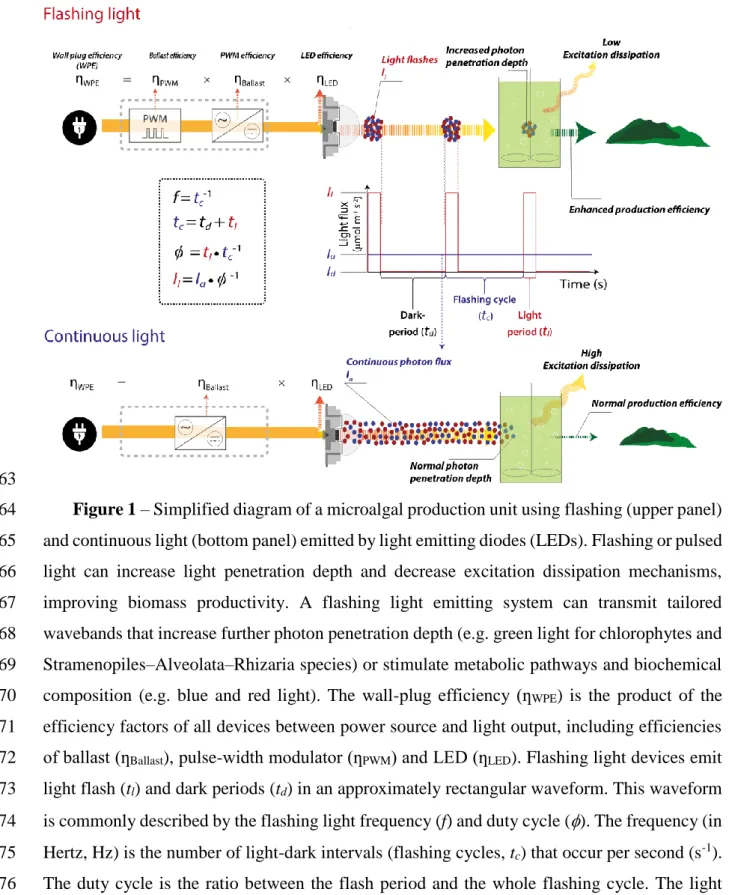 Figure 1 – Simplified diagram of a microalgal production unit using flashing (upper panel) 64 