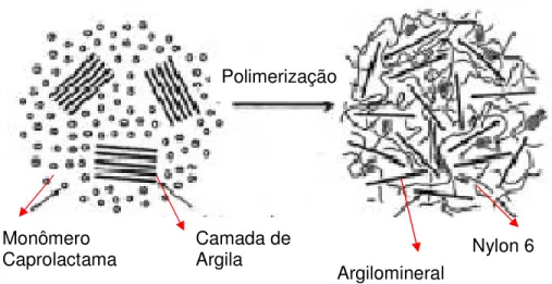 Figura  4.10  –  Esquema  de  ilustração  para  síntese  de  nanocompósitos  Nylon  6/argila através da polimerização in situ [26]