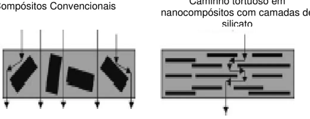 Figura 4.13 – Modelo proposto para difusão em nanocompósitos esfoliados de  polímero-argila quando usados como barreira a gases [26]