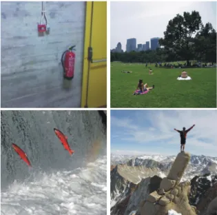 Figure 1 shows four input images which will be used below, called extinguisher, park, fish and  moun-tain, all of size 256 × 256 pixels with 8 bits for each colour component R, G and B
