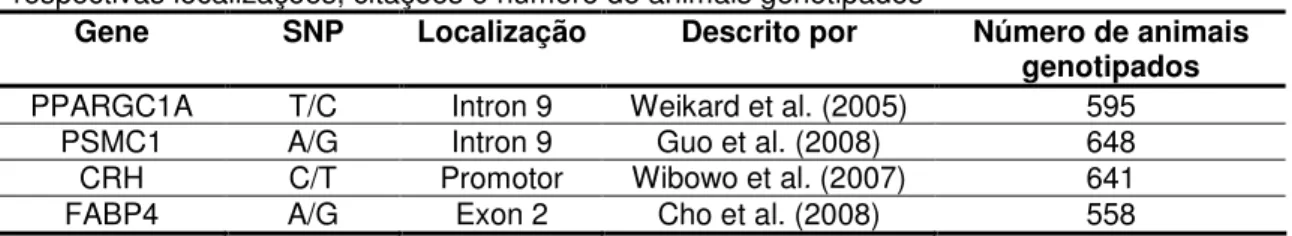 Tabela  2.  SNPs  dos  genes    PPARGC1A,  PSMC1,  CRH  e  FABP4  analisados  com  suas  respectivas localizações, citações e número de animais genotipados 