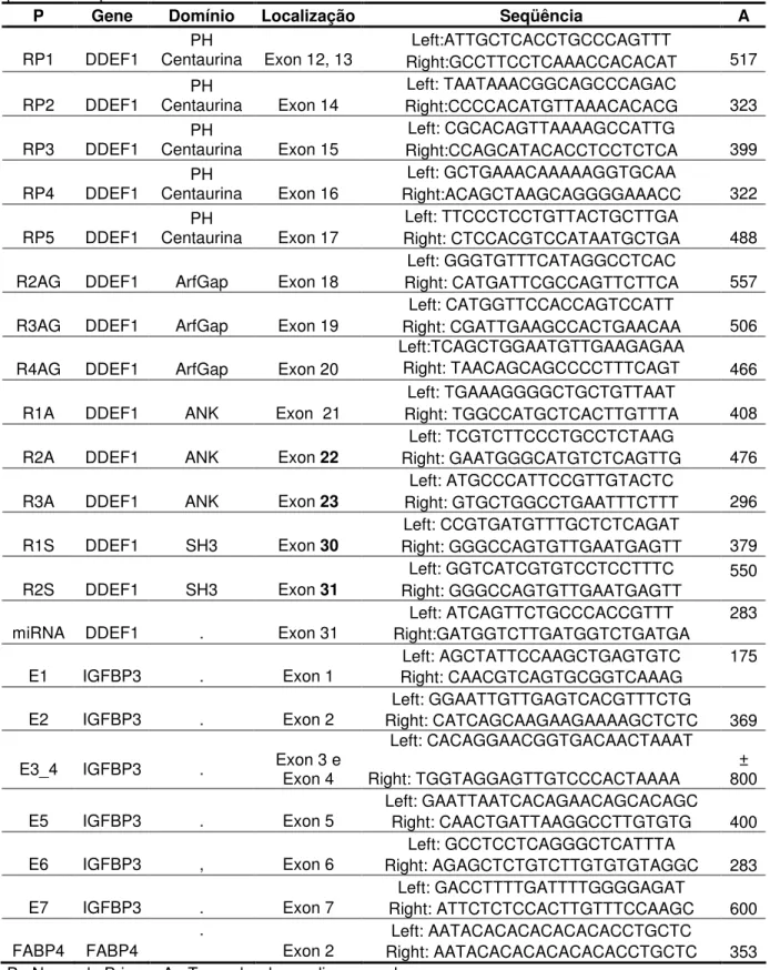 Tabela  4.  Primers  desenhados  para  amplificação  de  parte  dos  genes  DDEF1  e  IGFBP3  para  posterior sequenciamento