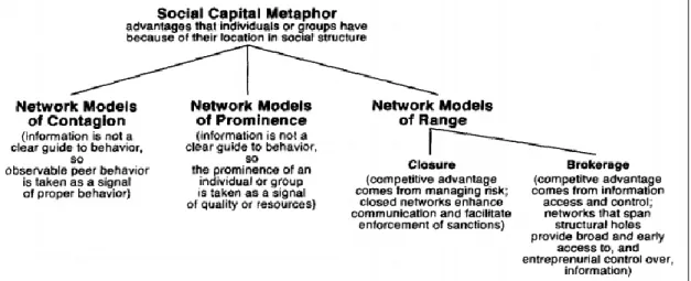Figure 2.1 Social Capital, in Metaphor and Network Structure 