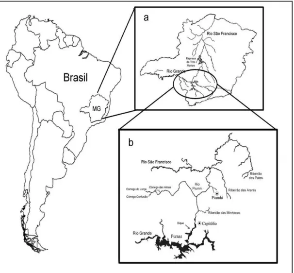 Figura 1 – Localização dos pontos de coleta. (a) Estado de Minas Gerais, (b) Região de transposição do Rio Piumhi  