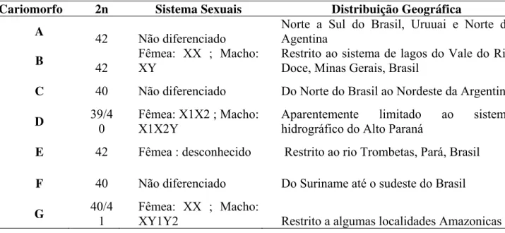 Tabela 1 – Características cromossômicas dos cariomorfos de Hoplias malabaricus, de acordo com Bertollo et al