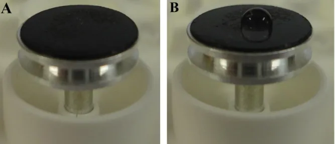 Figura 2.2. Imagem ilustrativa de um Pin de alumínio com 12mm de diâmetro coberto com camada de carbono  de 40μm para análise por EDX