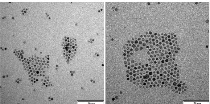 Gráfico 3.1. Histograma com a distribuição de diâmetros e curva normal, construído através do software estatístico  SPSS com valores referentes ao diâmetro das nanopartículas de Fe 3 O 4  coletados através do software de imagem  do MET