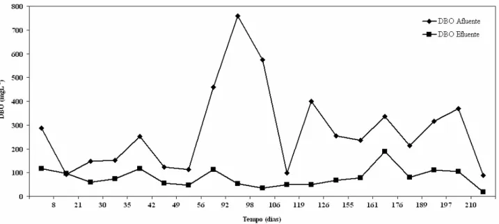 Figura 5.5: Comportamento dos valores de DBO afluente e efluente na planta piloto 