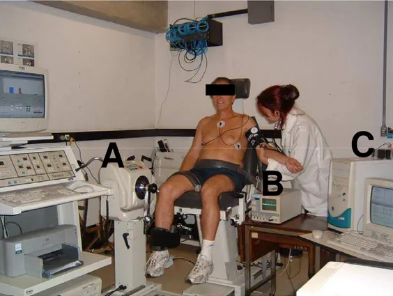 Figura 1: Ilustração do procedimento experimental: A) dinamômetro isocinético e acessórios, B)  monitor cardíaco, C) sistema de captação da freqüência cardíaca, batimento a batimento