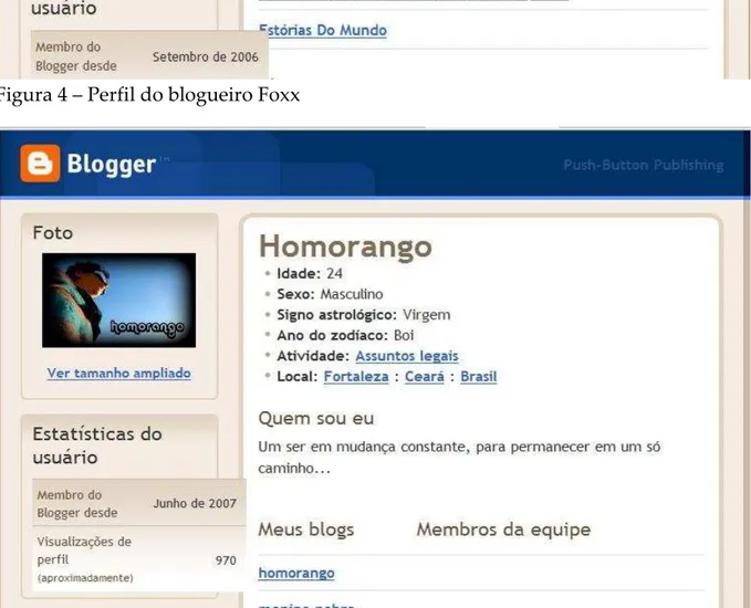 Figura 5 – Perfil do blogueiro Homorango 