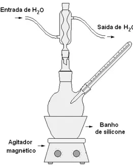 Figura 4.1: Esquema do sistema utilizado na preparação dos suportes via método sol-gel