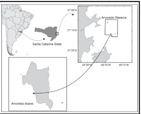Figura 10. Reserva Biológica Marinha do Arvoredo (Santa Catarina, Brasil). Zoom sucessivo a partir de  mapa da América do Sul