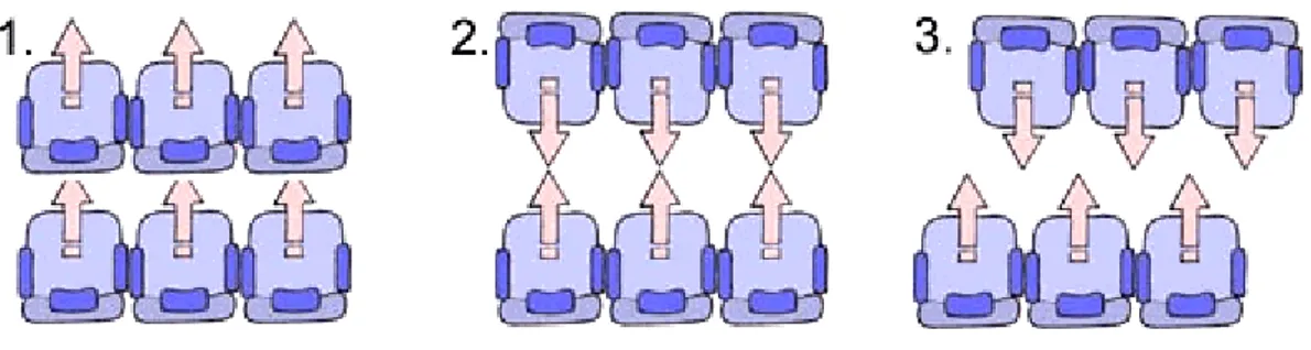 Figura 14 - Assimetria na disposição das poltronas.  