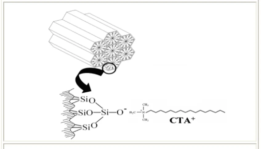 Figura  2.14.  Sílica  mesoporosa  MCM-41  com  os  poros  ocluídos  pelo  direcionador  molecular  CTA + (MARTINS; CARDOSO, 2006)