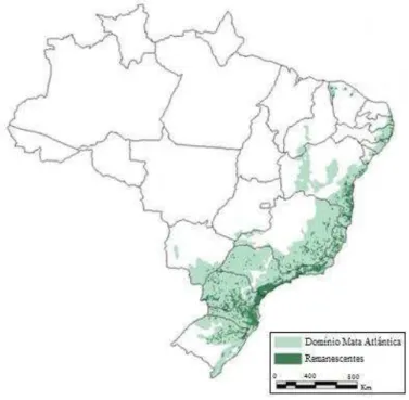 Figura  1.  Distribuição  da  Mata  Atlântica  no  Brasil;  em  verde  claro  a  cobertura  original  e  em  verde escuro a remanescente
