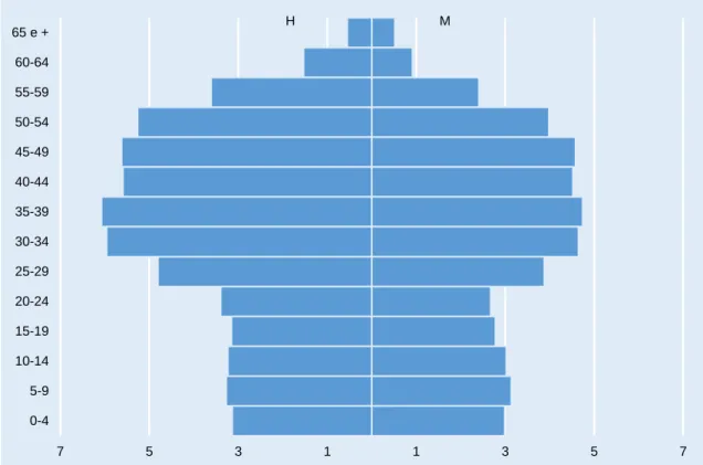 Gráfico 10  Pirâmide etária da população portuguesa permanente na Suíça, 2015 