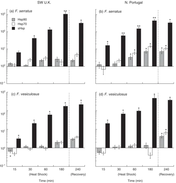 Fig. 9. Time-course of  qPCR for Hsp90, Hsp70 and sHsp gene expression in response to HS at 28  ° C and recovery for 1 h in seawater at 15  ° C.