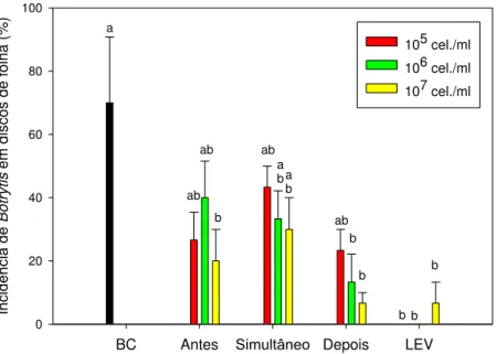 Figura 6. Incidência de Botrytis cinerea em discos de folhas de morango. BC =  B.  cinerea;  LEV  =  levedura  nas  concentrações  de  10 5 ,  10 6   e  10 7   células/ml; 