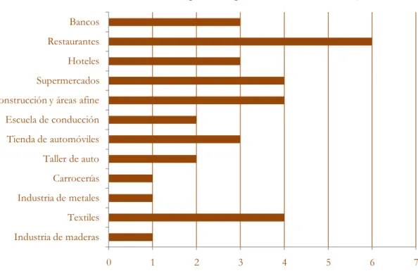 Gráfico II.5 – Peso de los distintos tipos de empresas en Cernache do Bonjardim 