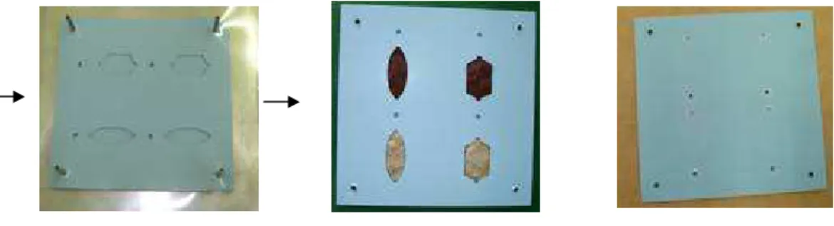 Figura 4.10. Integração das amostras de zeólitas naturais durante a etapa de  laminação da cerâmica verde.