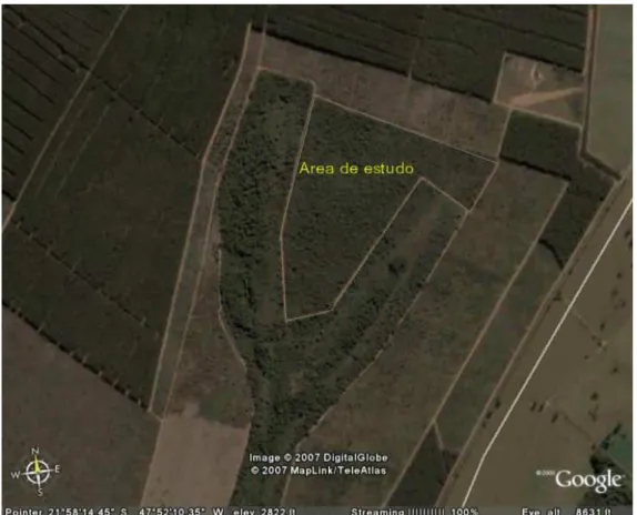 Figura  1.  Área  de  estudo  localizada  no  campus  da  Universidade  Federal  de  São Carlos (Fonte: Google Earth) 