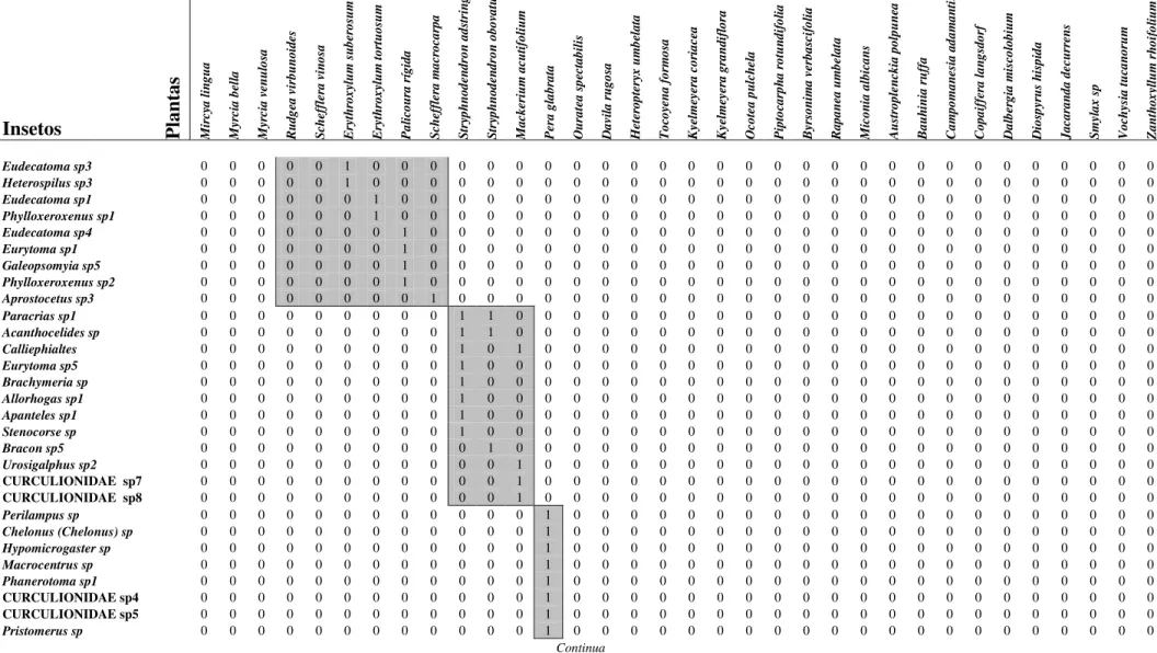 Tabela 2: Tabela de presença e ausência relativo às interações entre insetos endófagos em frutos de espécies de plantas de um cerrado  stricto  sensu da Universidade Federal de São Carlos, São Carlos, SP (Continuação).