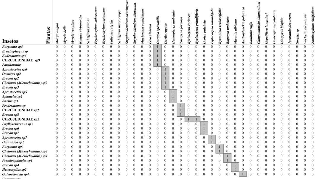 Tabela 2: Tabela de presença e ausência relativo às interações entre insetos endófagos em frutos de espécies de plantas de um cerrado  stricto  sensu da Universidade Federal de São Carlos, São Carlos, SP (Continuação).