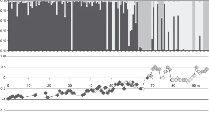 Fig. 2. Bayesian analysis with InStruct software for the different transects. Each vertical bar represents a different individual.