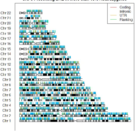 Figure 1.3.3.1 Global cis-regulation map of breast tissue.  This map gives  us information  about   which  genes  are  being  cis-regulated  and,  therefore,  presenting  differential  allelic  expression   (Maia  et al, unpublished).