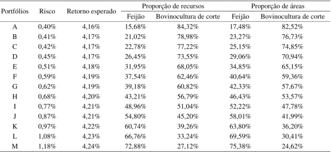 Tabela 9: Combinações de risco e retorno da fronteira eficiente da safra de inverno de  2010