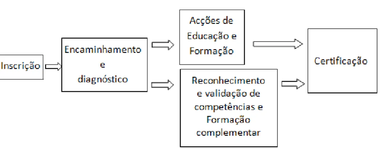 Ilustração I - Etapas de processo do adulto no CNO 