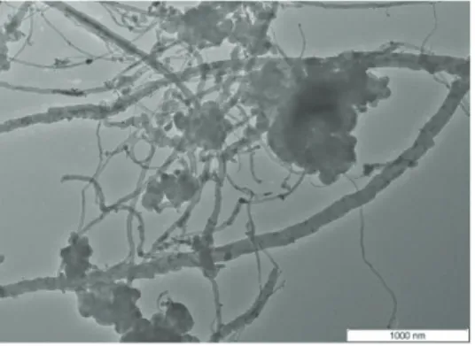 Figura 4.2: Micrografias MET dos nanotubos de carbono de múltiplas camadas funcionalizados  com carboxilas utilizados na produção do nanocompósito