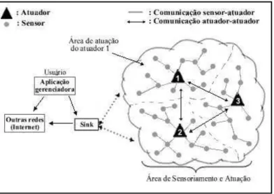 Figura 2.9 - Esquema da arquitetura física das RSASFs [VIL 07]. 