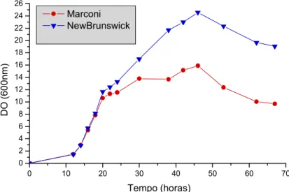 Figura 5.5. Comparação do crescimento celular de P. pastoris em meio com glicose nos shakers NEW BRUNSWICK SCIENTIFIC e MARCONI.