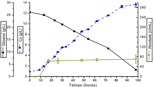 Figura 5.6. Cultivo de P. pastoris em meio YPD com glicerol, 30ºC, pH 6,5. Expressão constitutiva extracelular de α(amilase de B