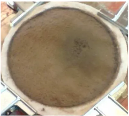 Figura 3.7 – Torta de filtração de rocha fosfática em feltro de poliéster após o pré-endurecimento