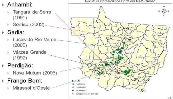 Figura 7. Mapa da localização da avicultura comercial de corte em Mato Grosso.  