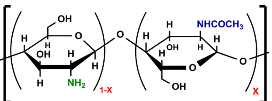Figura 2.3 Representação esquemática da quitosana como polieletrólito 