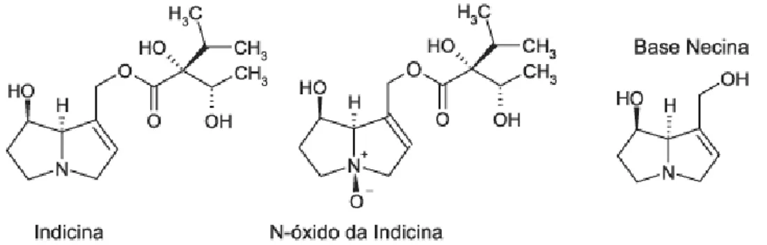 FIGURA 1.11: Estruturas representativas de alguns alcalóides pirrolizidínicos  biologicamente ativos [5]