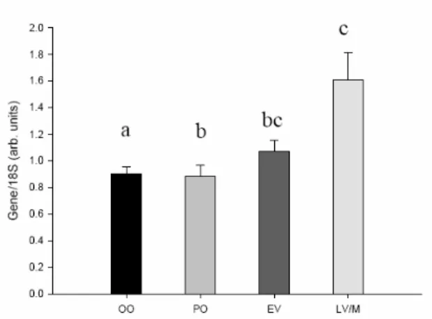 Fig. 12 – FoxL2 expression increased throughout growth of the oocytes. Kruskal-Wallis One Way ANOVA on ranks  was carried, as the distributions failed the normality test