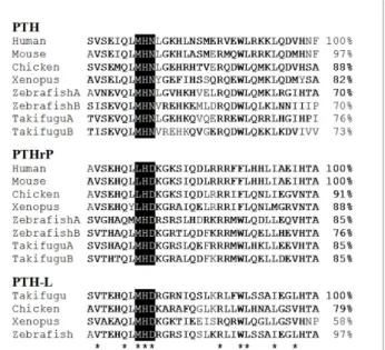 Figure 1 Multiple sequence alignment of the Xenopus and chicken 1-34 PTH family members mature peptide N-terminal region with teleost (Takifugu and zebrafish) and mammals (human and mouse)