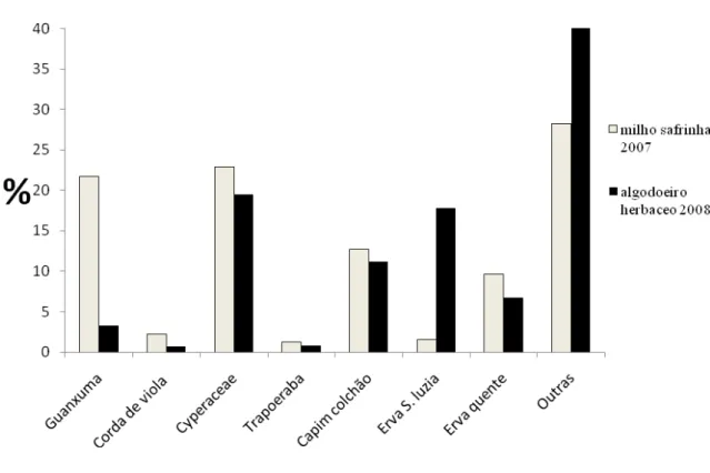 Figura 4 - Percentual de ocorrência de plantas invasoras no milho safrinha e no                  algodoeiro herbáceo