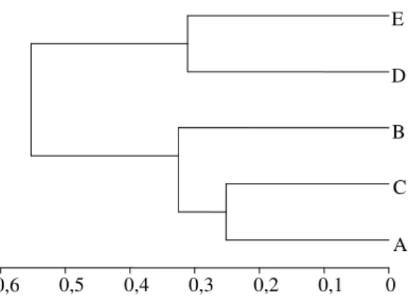 Figura 8. Dendrogramas da dissimilaridade de Bray-Curtis para a estrutura da vegetação entre os cinco bancos de  macrófitas (A, B, C, D e E) do estuário do Rio Massaguaçu