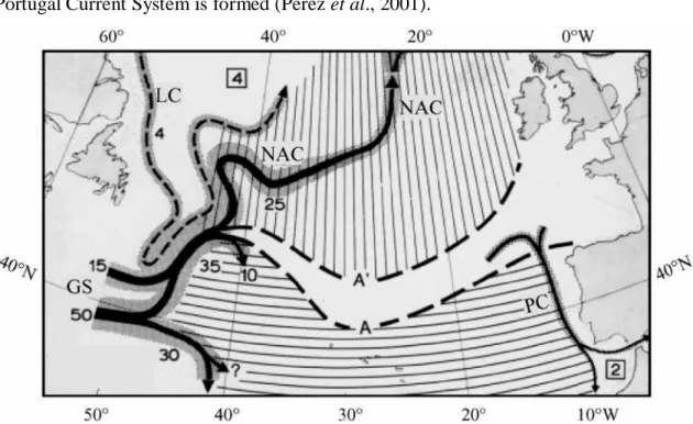 Figure 2- Surface circulation of the northern North Atlantic as derived from drift experiments (adapted from Krauss,  1986 in Pérez et al