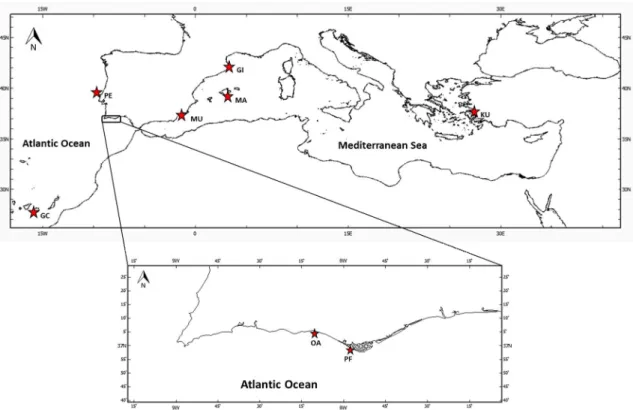 Figure 12 - Location of the sampling sites in the Atlantic Ocean and Mediterranean Sea