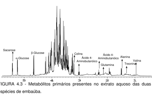 FIGURA  4.3  -  Metabólitos  primários  presentes  no  extrato  aquoso  das  duas  espécies de embaúba