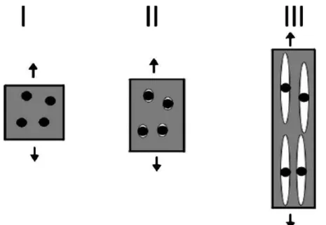 Figura 2.8 - Mecanismo de tenacificação de polímeros com partículas rígidas. 