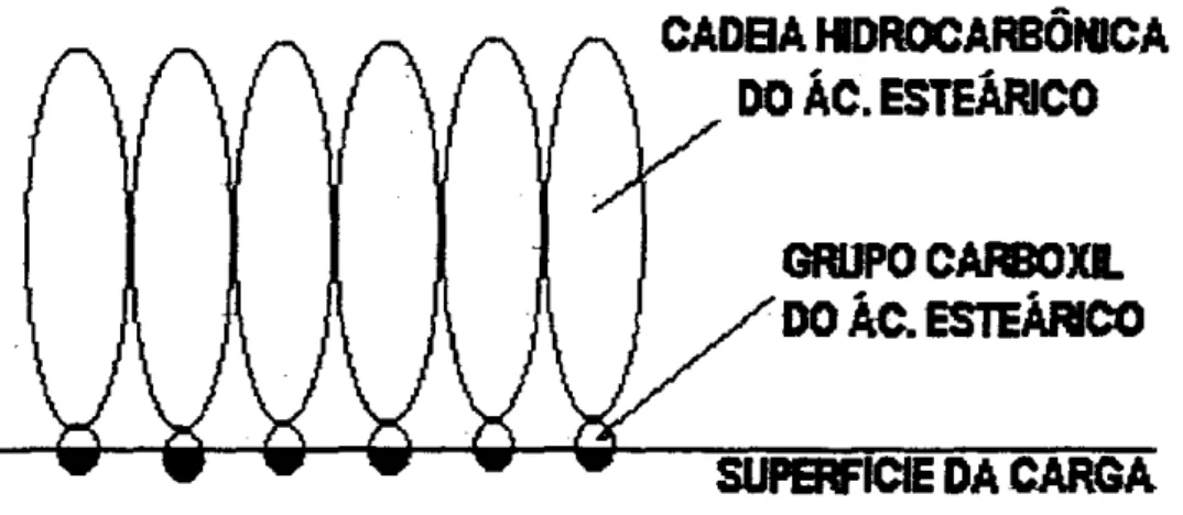 Figura 2.11 - Representação esquemática da Interação do Ácido Esteárico com  o CaCO 3 