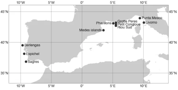 Figure 1 Sampling sites of the red gorgonian (Paramuricea clavata) populations in the Atlantic Ocean and the Mediterranean Sea